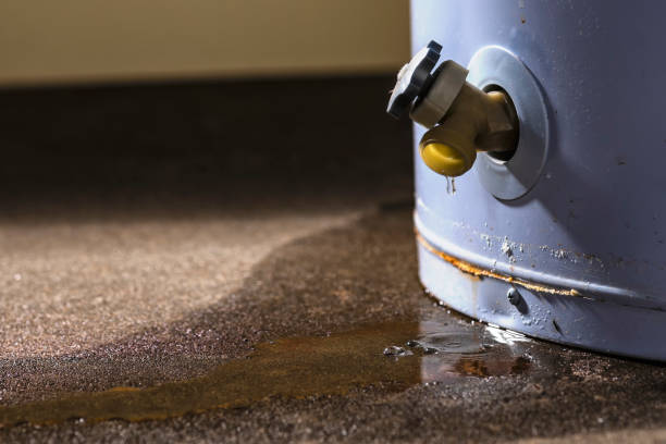 Best 24-hour water damage restoration  in Frederick, MD