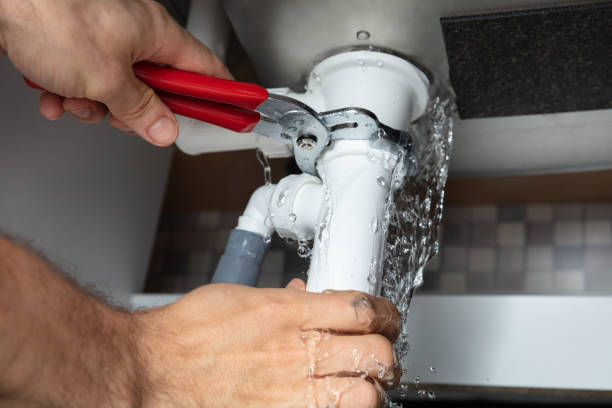 Best Carpet water damage restoration  in Frederick, MD