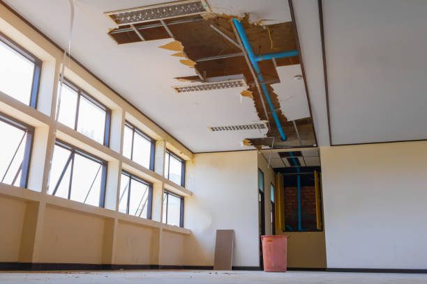 Reliable Frederick, MD Water damage restoration Solutions