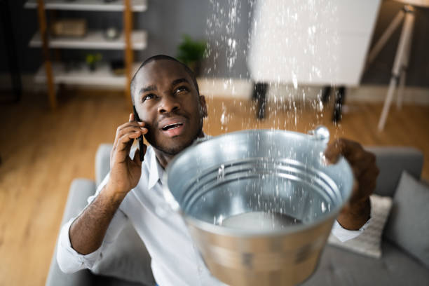 Best Carpet water damage restoration  in Frederick, MD