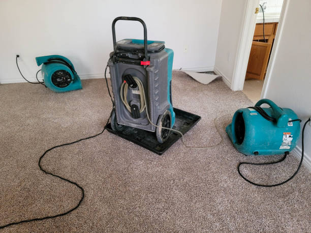 Best Residential water damage restoration  in Frederick, MD