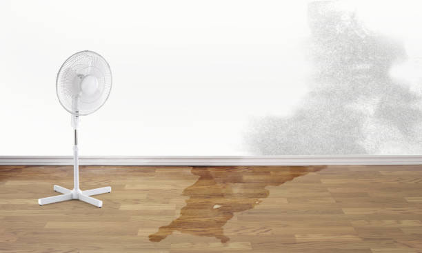 Best Water damage restoration near me  in Frederick, MD