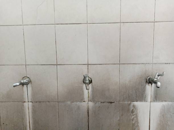 Best Sewage cleanup and water damage restoration  in Frederick, MD