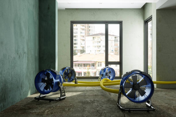 Professional Water damage restoration in Frederick, MD