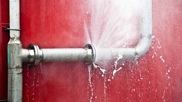 Best Flood damage cleanup  in Frederick, MD