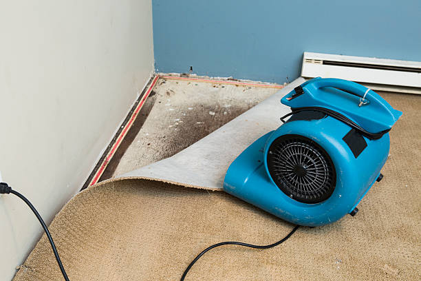 Best Flood restoration services  in Frederick, MD